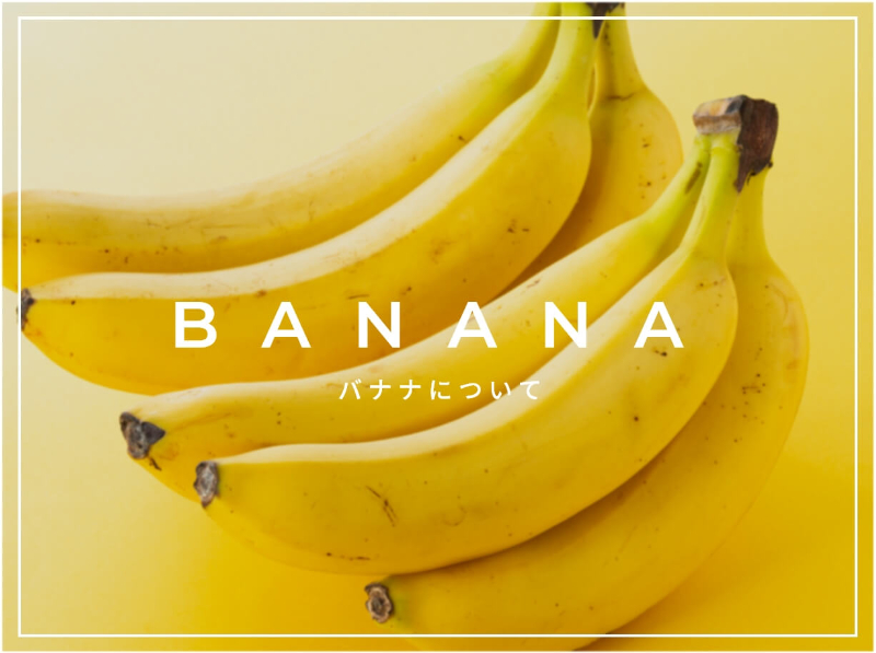 バナナについて